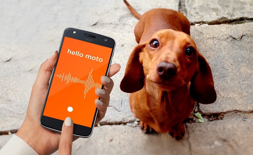 Moto annuncia il nuovo Moto Mod che traduce i versi degli animali