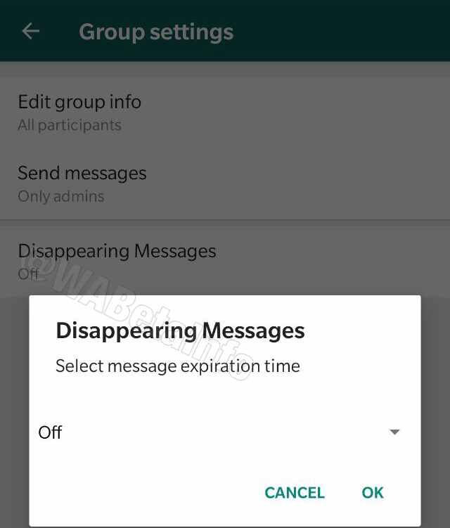 Presto messaggi che scompaiono su Whatsapp