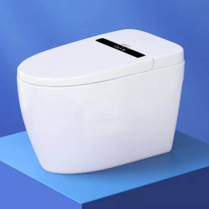 Arriva il WC parlante! Ma ci serve?