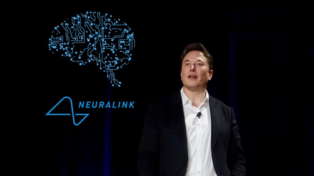 neuralink scimmie