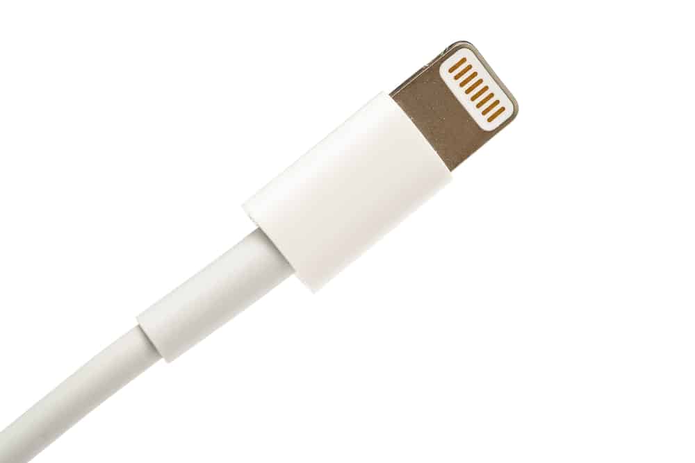 Apple Lightning port
