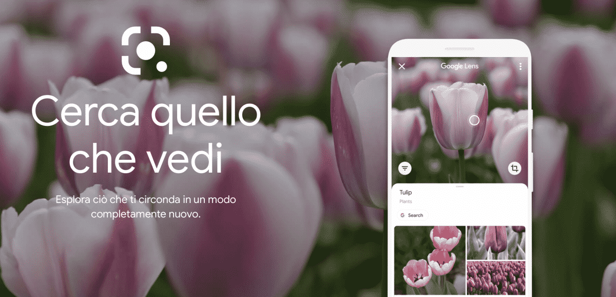 Google Lens: come funziona, guida aggiornata 2024