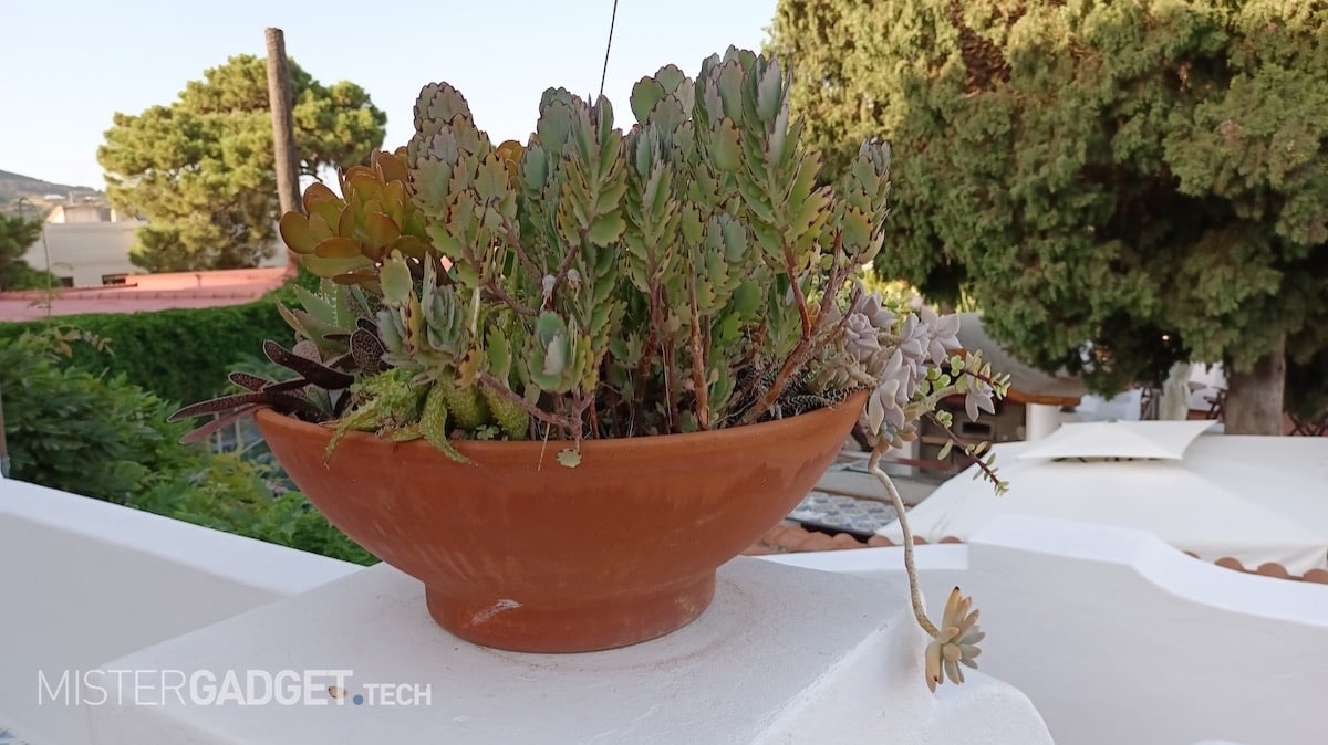 Foto scattata con Vivo V21 5G