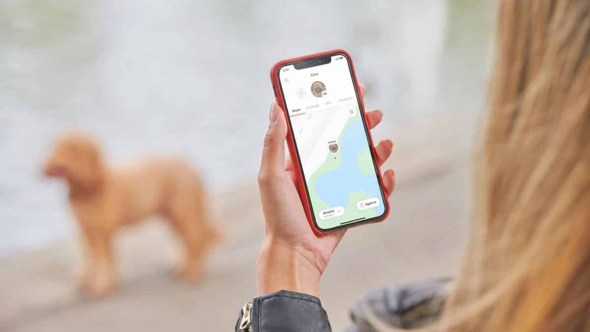 gps-per-animali-Curve_Pet-mistergagdet-tech-localizzatore-tracker