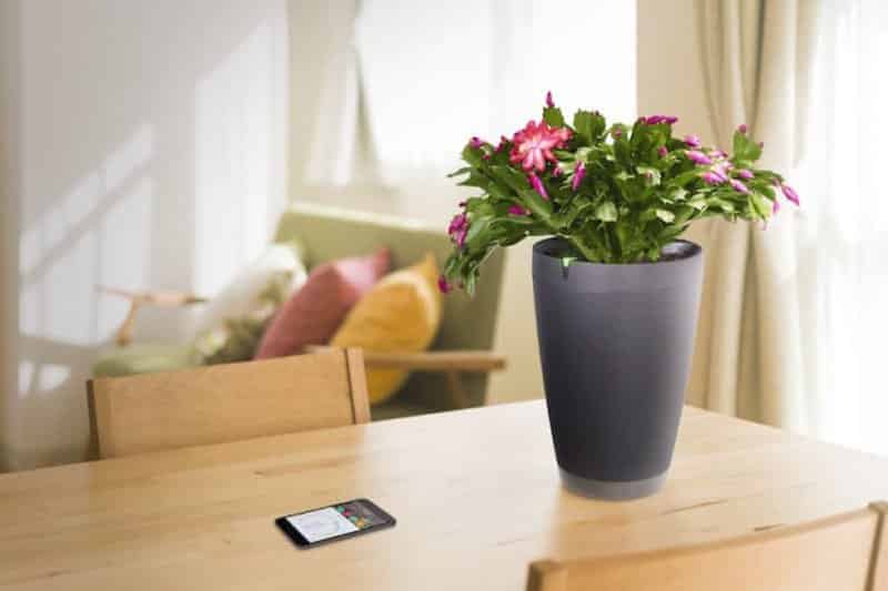 Parrot pot MisterGadget Tech