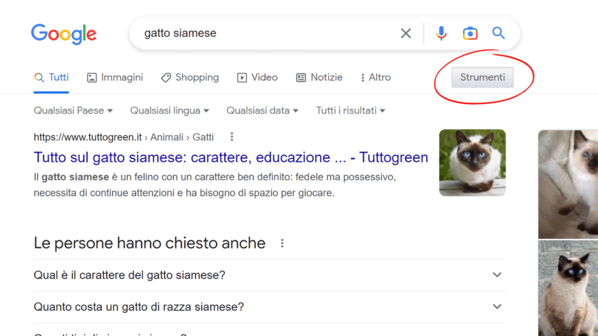 trucchi google strumenti di ricerca mistergadget.tech