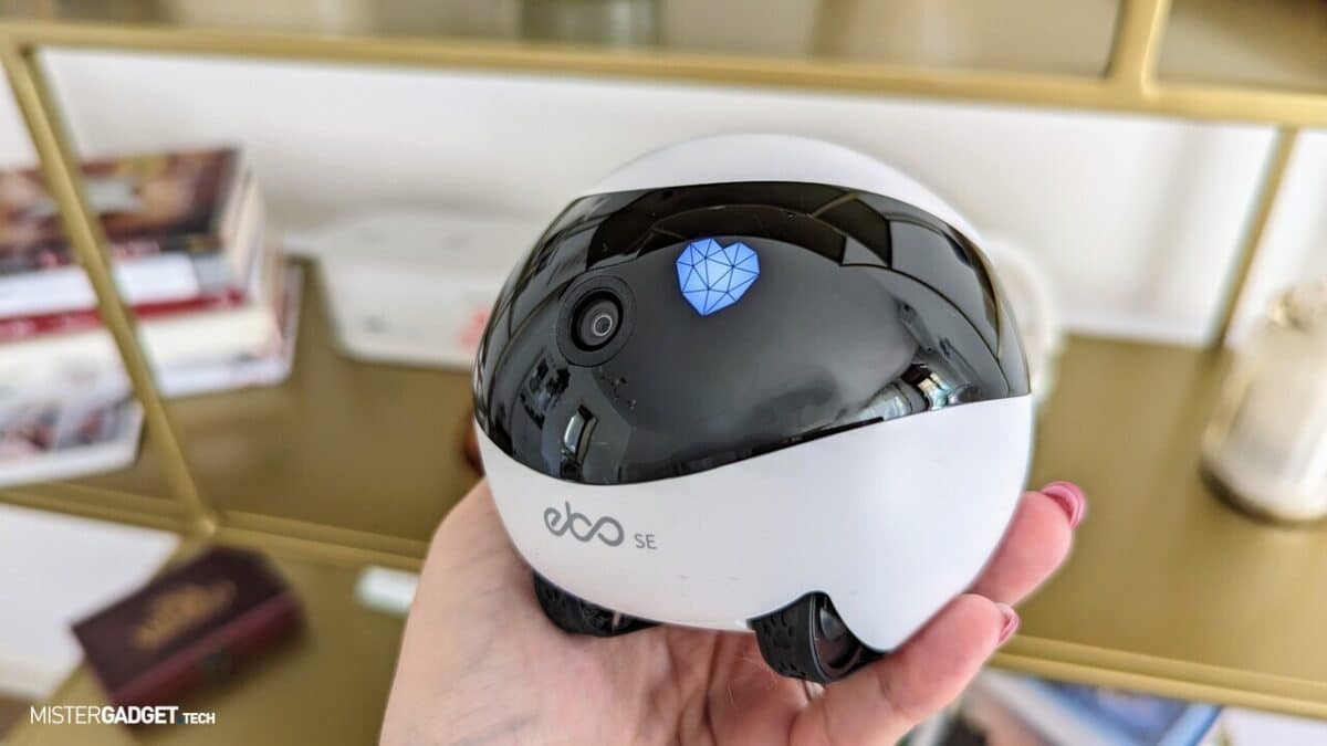 videocamera cani e gatti ruote mistergadget.tech