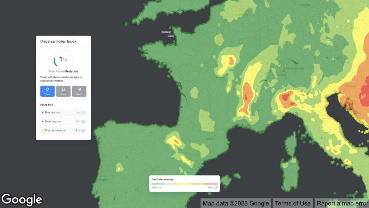 previsioni allergie Google