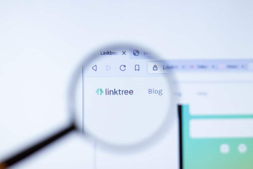 Lente d'ingrandimento su Linktree