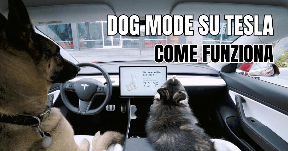 Tesla Dog Mode: cosa è e come usarla - MisterGadget.Tech