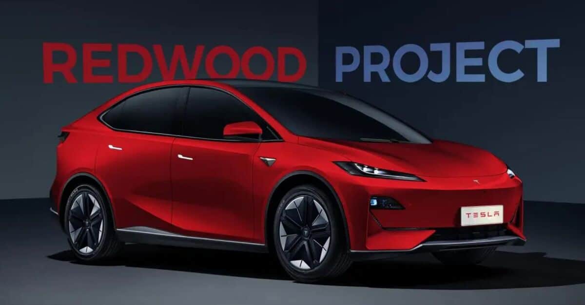 Tesla Model Redwood - crossover