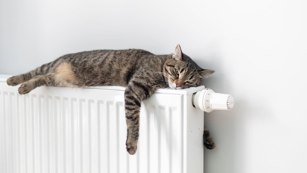 meglio climatizzatore o termosifone