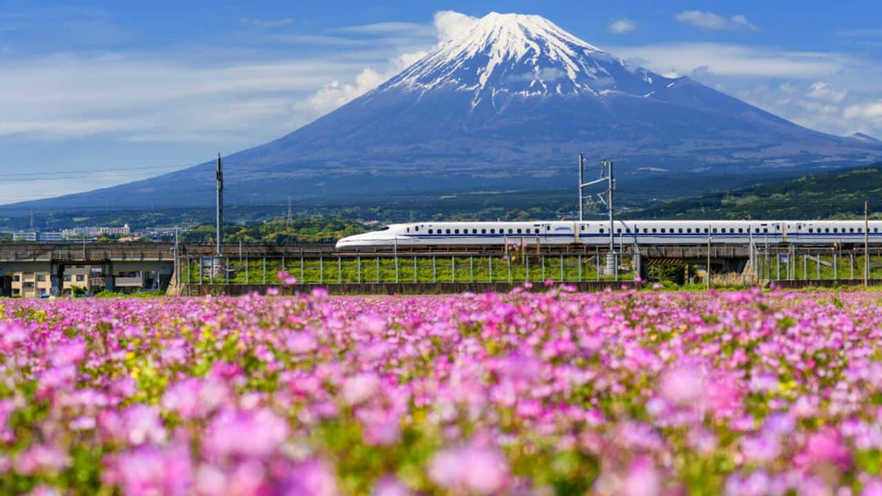 Shinkansen panorama