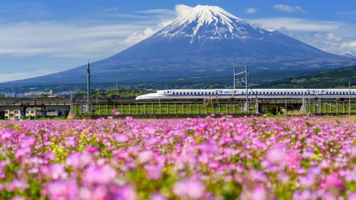 Shinkansen panorama