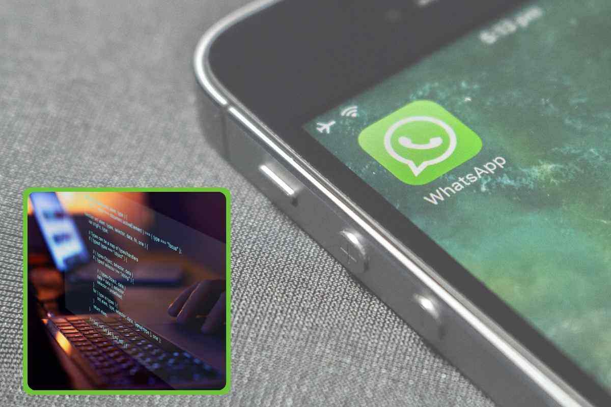 Hai ricevuto 7462 su Whatsapp: ecco cosa significa questo numero