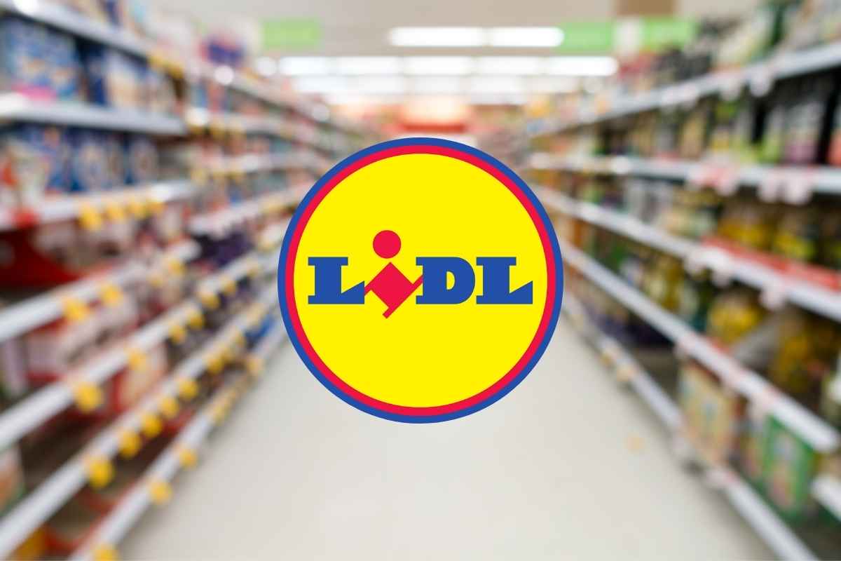 Lidl fa un regalo ai suoi clienti: a meno di 10 euro è un sogno che si avvera