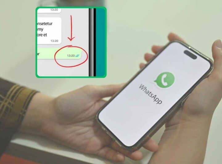 Spunte su Whatsapp, ora hanno un nuovo significato
