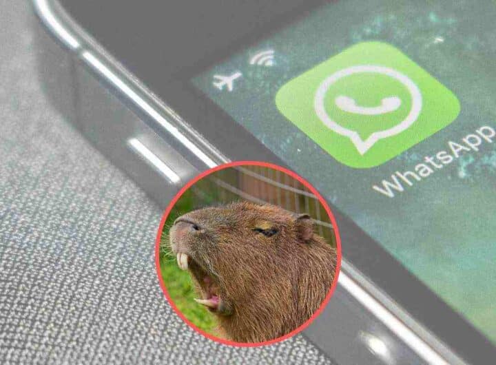 Whatsapp stravolto, attiva la nuova modalità "Capibara"
