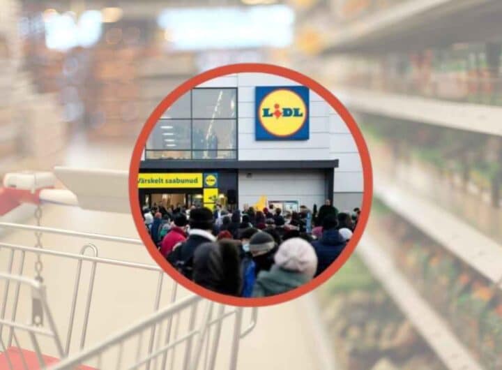 Lidl non sbaglia un colpo e questa volta accontenta proprio tutti