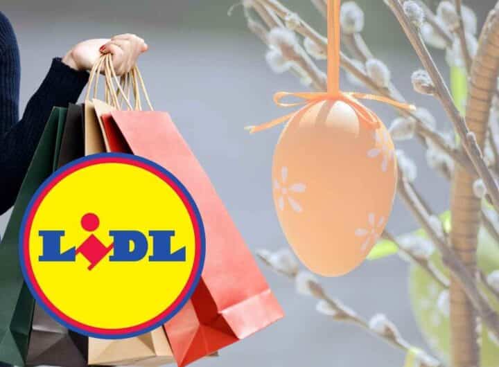 Lidl fa sognare tutti con la super svendita tech