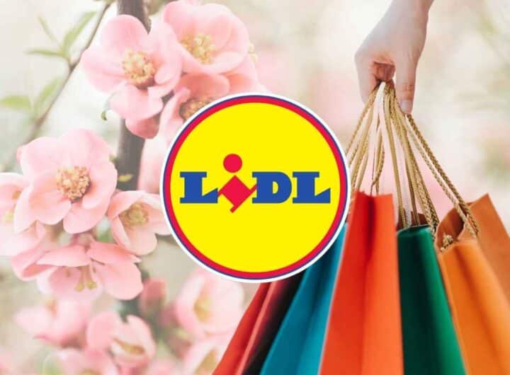 Lidl, scatta il super sconto di Primavera