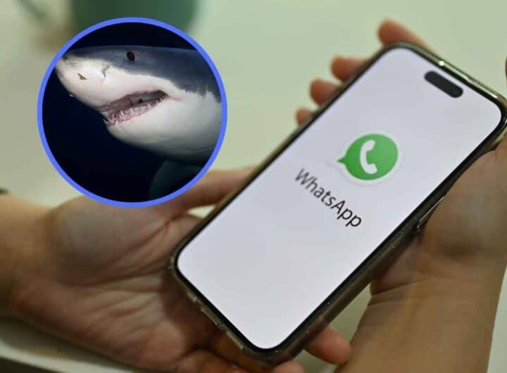 trasformi l'App in qualcosa di unico: è facilissimo