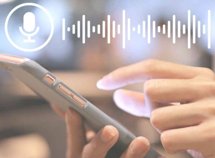 trovi tutto quello che dici, puoi verificare