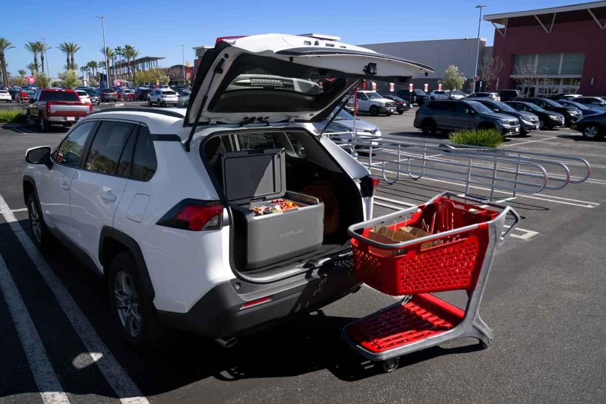EcoFlow GLACIER Classic grocery