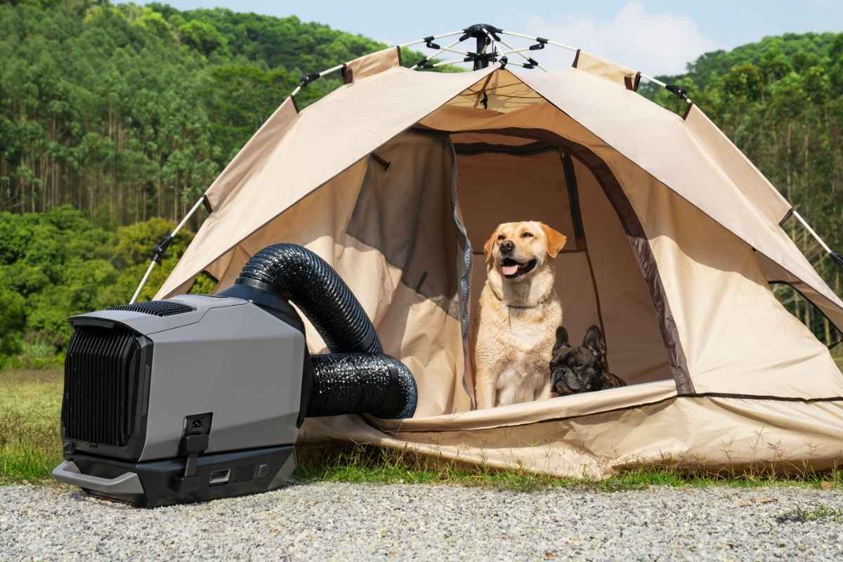 EcoFlow Wave 3 modalità cura degli animali