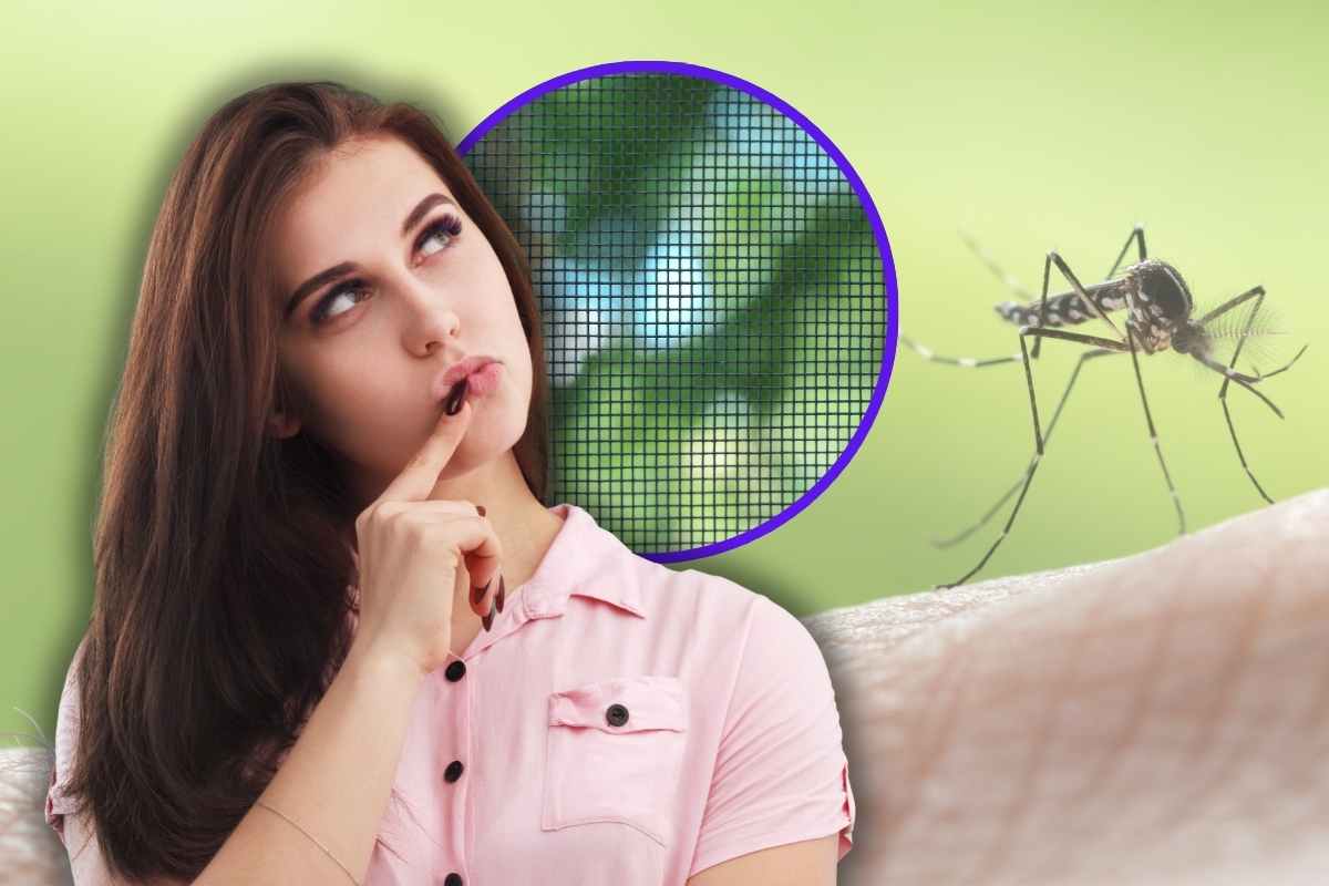 Addio zanzare grazie alla tecnologia