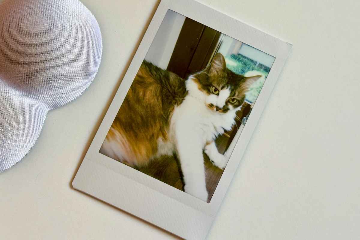 Instax mini 41 pellicole, formato mini iconico