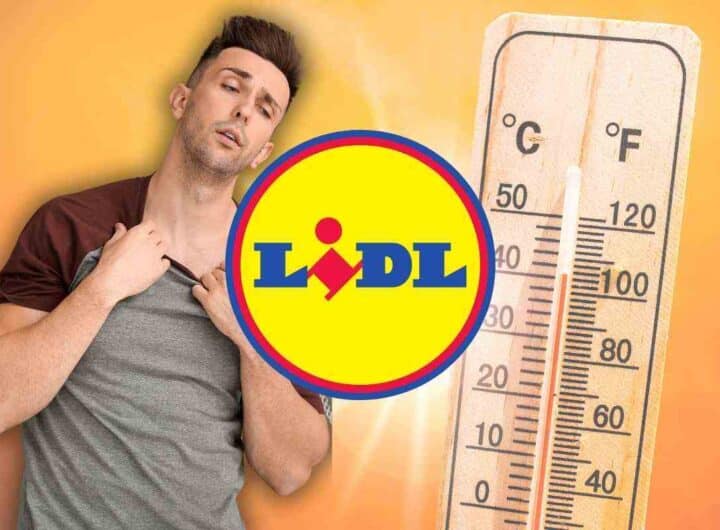Addio caldo afoso grazie a Lidl: con soli 50 euro
