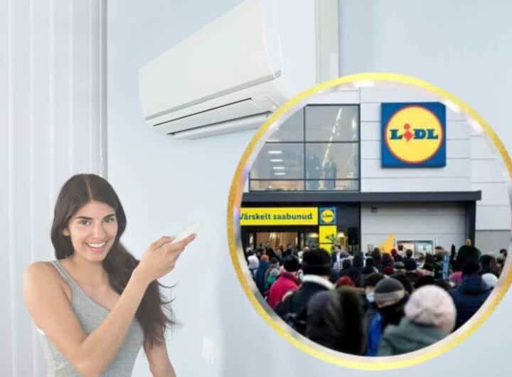Lidl risolve il problema dell'estate ad un prezzo folle