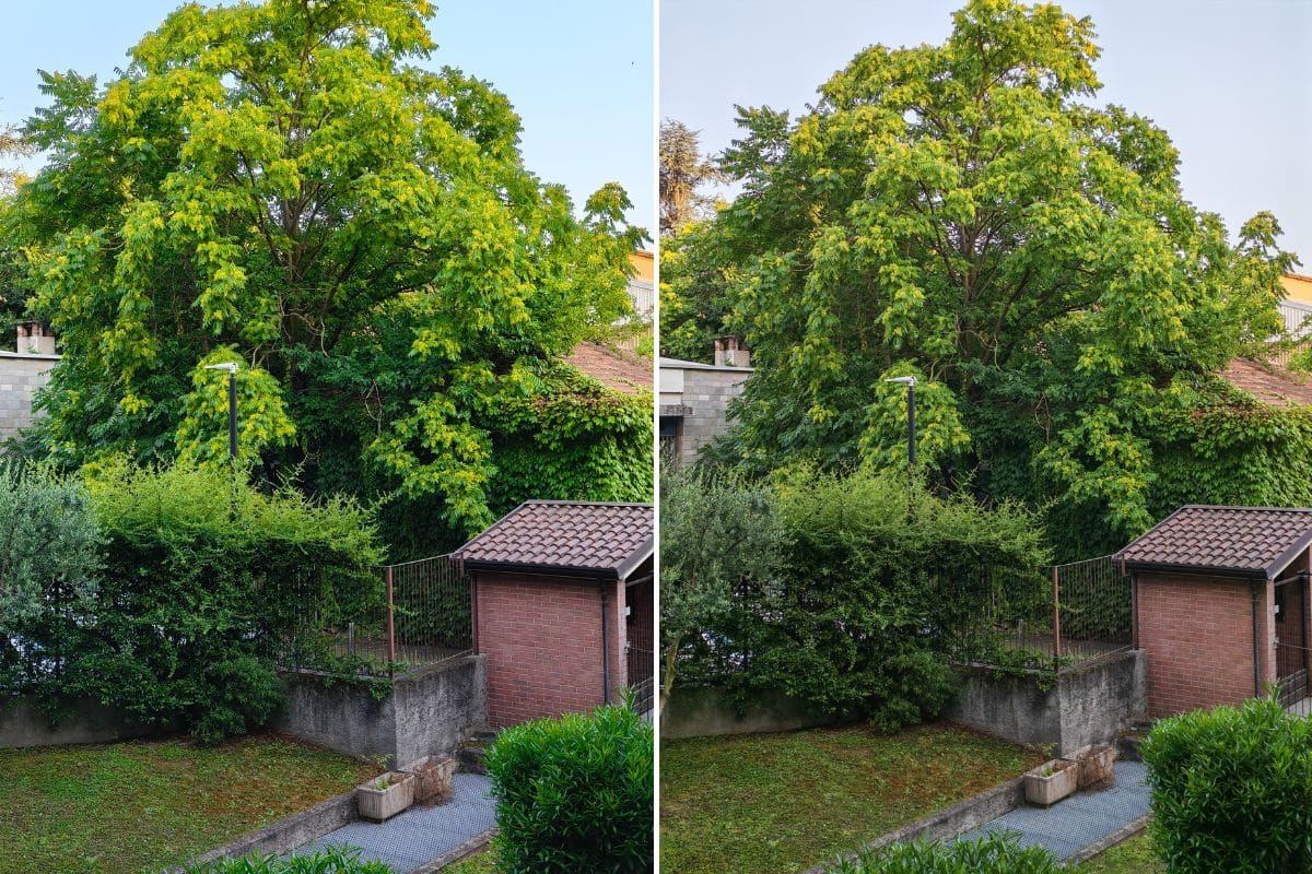 realme gt 7 vs honor 400 pro - confronto foto