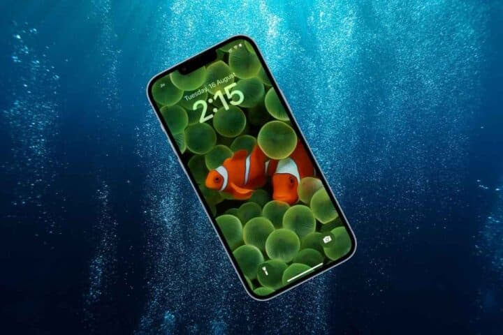 L'iPhone 16 è impermeabile? Cosa significa davvero la certificazione IP68