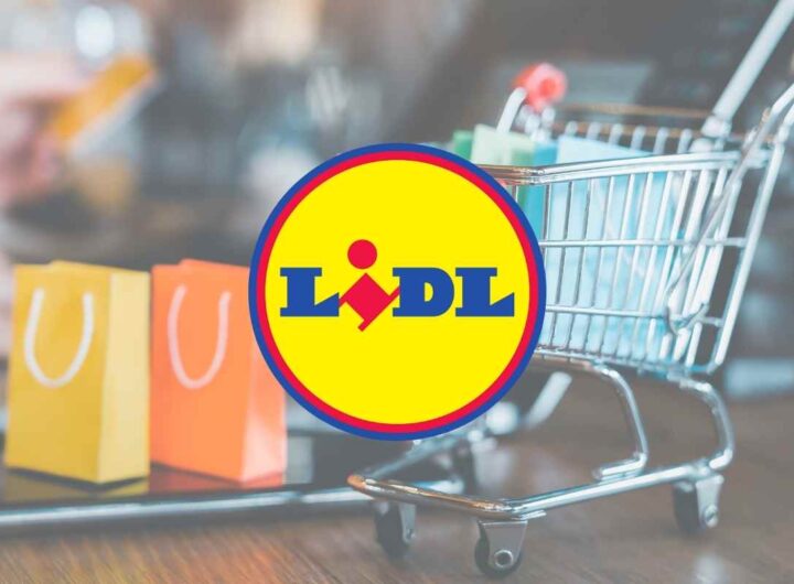 Colpaccio alla Lidl: con questo gioiello da 1250 watt
