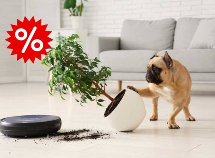 robot aspirapolvere in offerta Prime Day