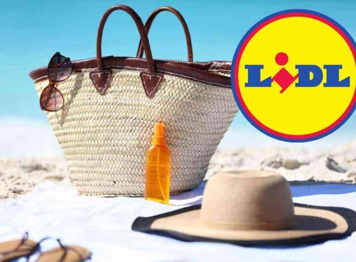 Lidl rilancia le vacanze estive: prezzi incredibili e puoi fare tutto online
