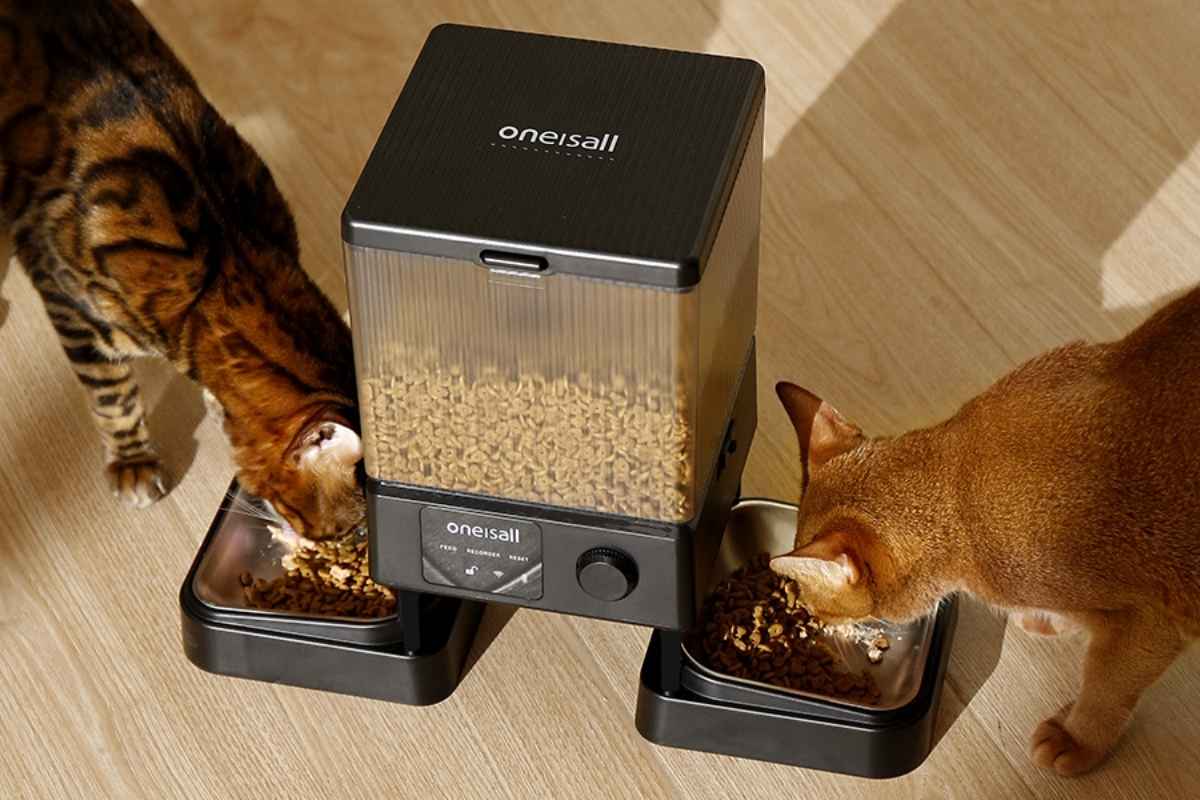 OneIsAll distributore di cibo per gatti smart 5L