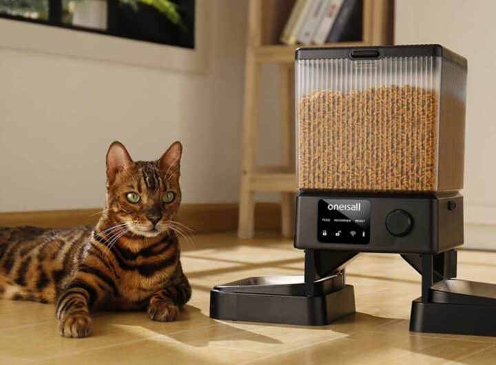 OneIsAll distributore di cibo per gatti smart