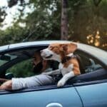Guidare con i finestrini abbassati fa consumare più benzina? La risposta non è così semplice