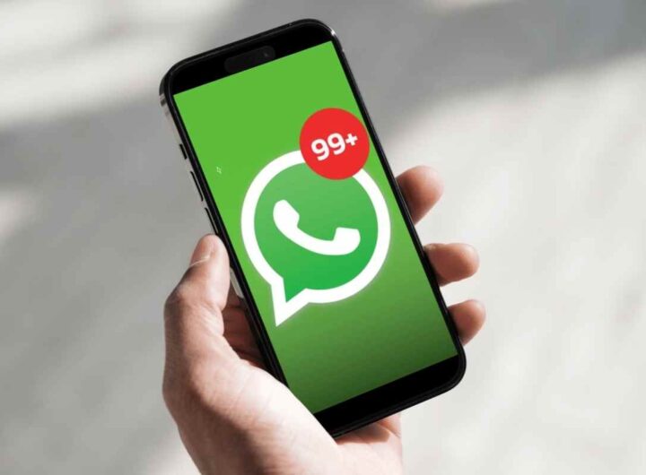 Rispondi su WhatsApp senza risultare online