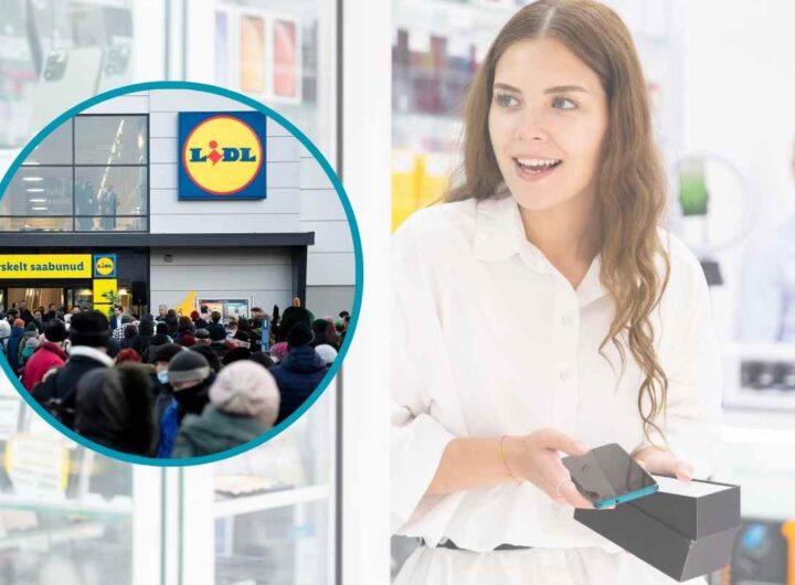 Di solito costano un occhio della testa ma li trovi da Lidl