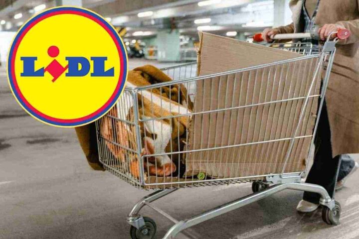con questa offerta riempi il carrello di tecnologia e spendi pochissimo