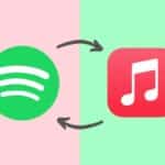 Trasferire le playlist da Spotify ad Apple Music: arriva lo strumento ufficiale di Apple