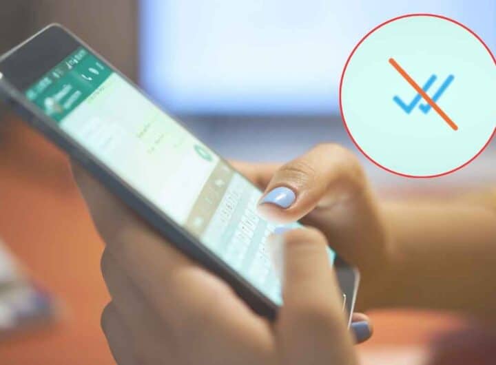 Cambia il significato delle spunte WhatsApp
