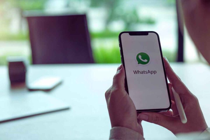 Il cestino pieno di WhatsApp ti intasa la memoria del telefono