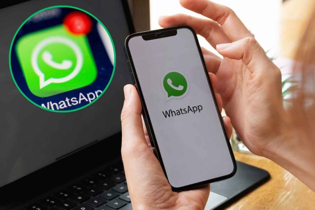 WhatsApp, attenzione o l'App invia una notifica