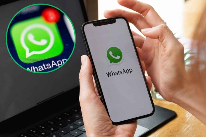 WhatsApp, attenzione o l'App invia una notifica