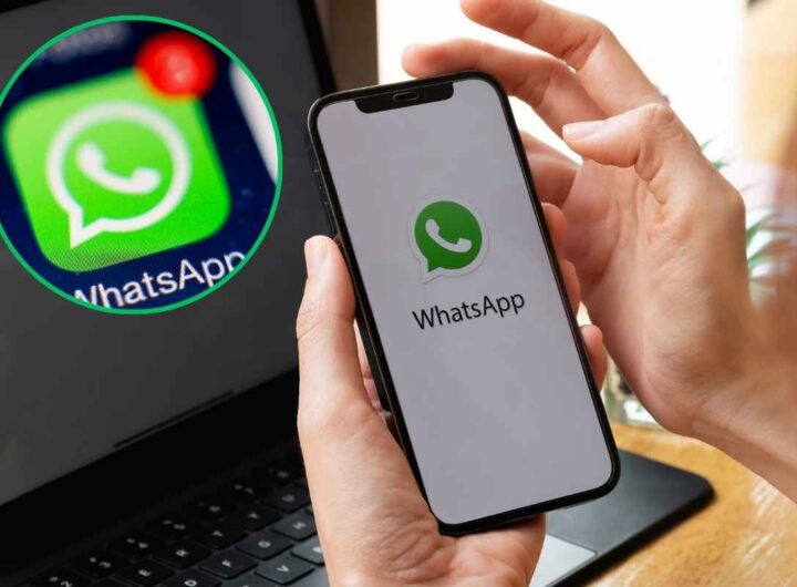 WhatsApp, attenzione o l'App invia una notifica